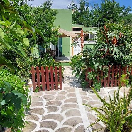 Afionas Das Gruene Haus Esterno foto